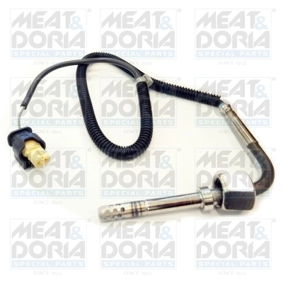 Sensor, exhaust gas temperature